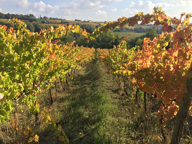 whatsapp image 2017-11-26 at 230459