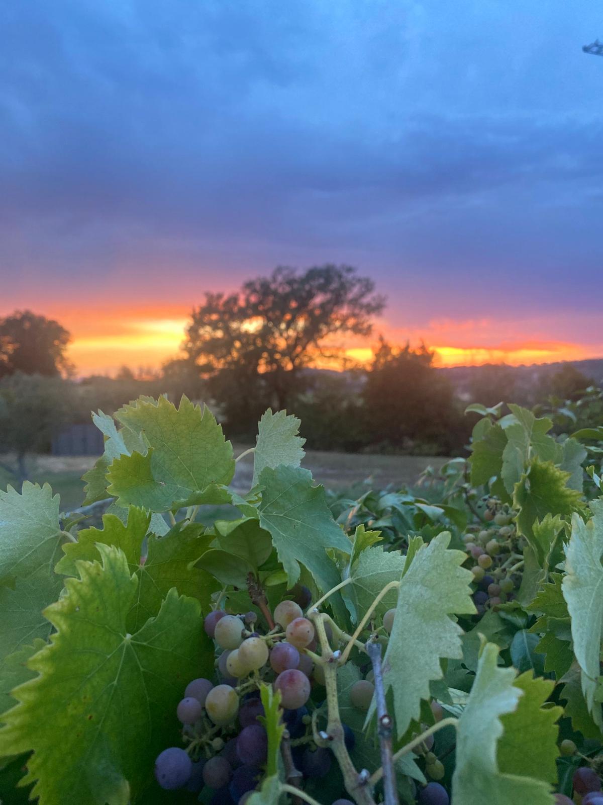 WhatsApp Image 2025-11-26 at 12.10.13 (5)